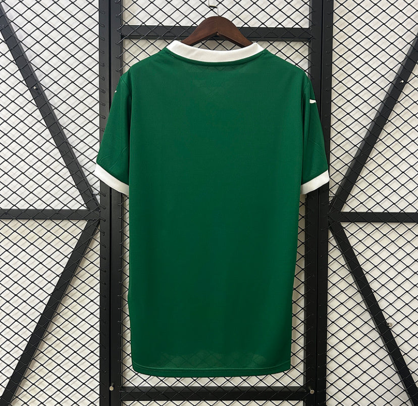 PALMEIRAS HOME 25/26