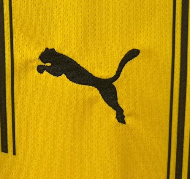 BORUSSIA DORTMUND HOME 24/25